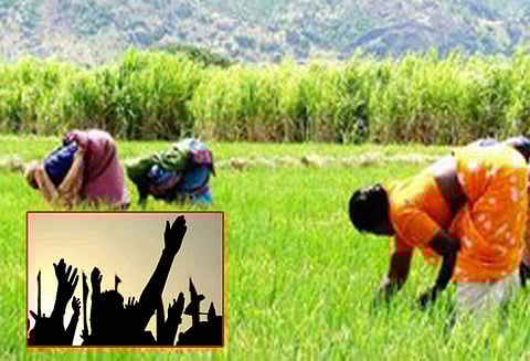 விவசாயிகளுக்கான அரசின் திட்டங்களை வெள்ளை அறிக்கையாக வெளியிட வேண்டும் விவசாயிகள் சங்கம் கோரிக்கை