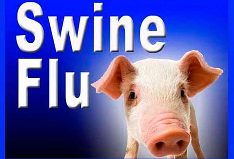 திருவாரூரில் பெண்ணுக்கு பன்றி காய்ச்சல் மருத்துவமனையில் தீவிர சிகிச்சை