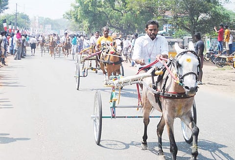 மச்சுவாடியில் குதிரை, மாட்டு வண்டி பந்தயம்