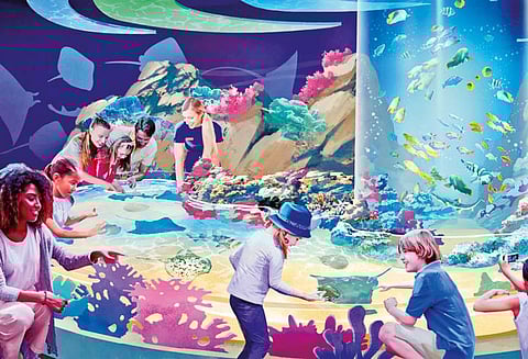 மீன்: வளர்க்கலாம்.. சம்பாதிக்கலாம்..