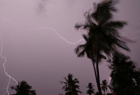 தஞ்சை மாவட்டத்தில் புயல் பாதிப்புகளை சரி செய்ய 200 பொக்லின் எந்திரம், டிப்பர் லாரிகள் தயார் - குடிநீர் தடை இல்லாமல் வழங்க திட்ட இயக்குனர் உத்தரவு