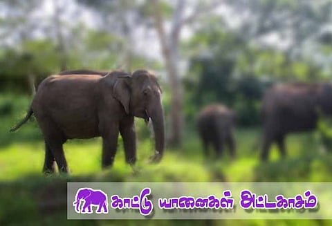 கூடலூர் அருகே ஊருக்குள் புகுந்து காட்டு யானை அட்டகாசம் கிராம மக்கள் பீதி