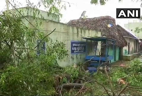 கஜா புயலால் இதுவரை 8 பேர் உயிரிழப்பு