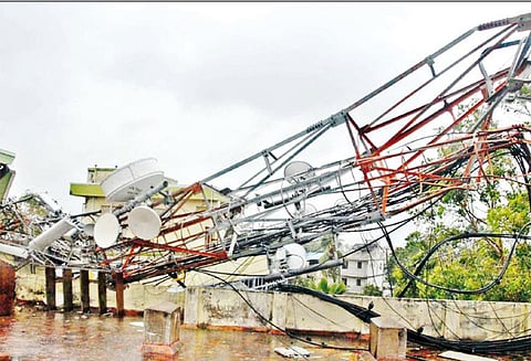 கஜா புயலின் தாக்கத்தினால் திருவாரூர் மாவட்டத்தில் கடும் சேதம்