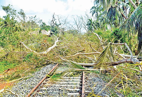 கஜா புயல் பாதித்த பகுதிகளில் மின் வினியோகம் இல்லாததால் கிராமங்கள் இருளில் மூழ்கின