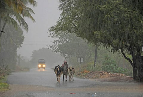 வங்க கடலில் குறைந்த காற்றழுத் தாழ்வுப்பகுதி கடலோர மாவட்டங்களில் கன மழை பெய்ய வாய்ப்பு
