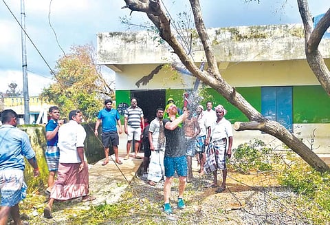 திருவாரூர் மாவட்டத்தில் நாளை பள்ளிகளுக்கு மட்டும் விடுமுறை - ஆட்சியர் அறிவிப்பு