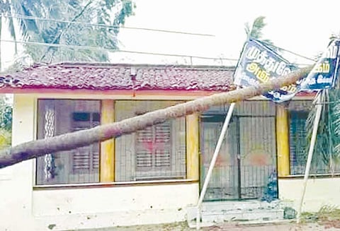 திருக்குவளையில் கஜா புயலில் சேதம் அடைந்த கருணாநிதி பிறந்த வீடு