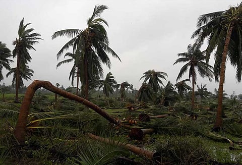 கஜா புயலால் பாதிக்கப்பட்ட பகுதிக்கு நிவாரண பொருட்கள் அனுப்பி வைப்பு