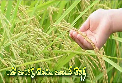 சம்பா சாகுபடி செய்யும் விவசாயிகள் பயிர் காப்பீடு செய்ய 30-ந் தேதி கடைசி நாள் - அதிகாரி தகவல்