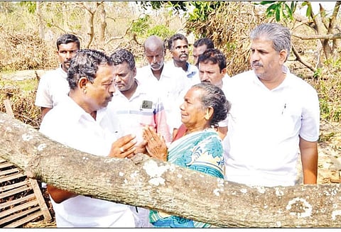 தலைஞாயிறு பகுதியில் புயலால் பாதிக்கப்பட்ட இடங்களை அமைச்சர் பார்வையிட்டார்