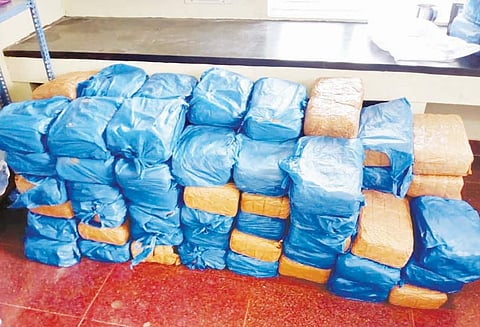 முத்துப்பேட்டையில் இருந்து கடல் வழியாக இலங்கைக்கு கடத்த முயன்ற ரூ.20 லட்சம் கஞ்சா பறிமுதல்