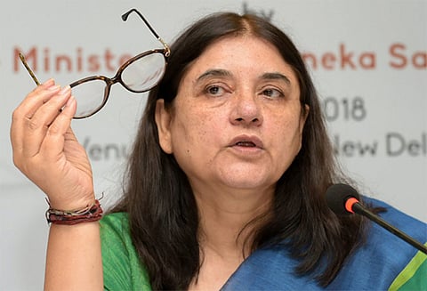 பாலியல் துஷ்பிரயேகம் தொடர்பாக புகார் கொடுக்க கால நிர்ணயம் கூடாது - மேனகா காந்தி வலியுறுத்தல்