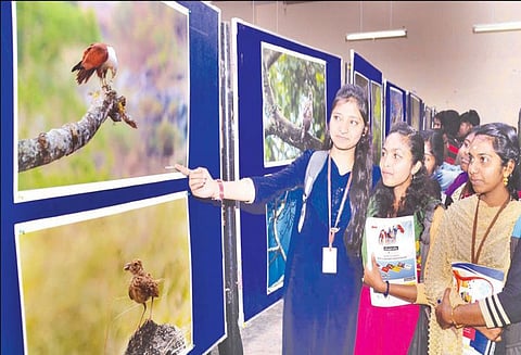 வனஉயிரின வார விழா: ஊட்டியில் புகைப்பட கண்காட்சி