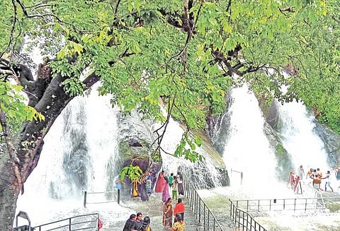 தமிழ்நாட்டில் மழைக்கு விவசாயி உள்பட 4 பேர் சாவு