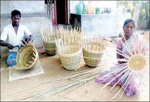 அறந்தாங்கி அருகே ஈச்சங்கூடை தயாரிக்கும் பணி மும்முரம்