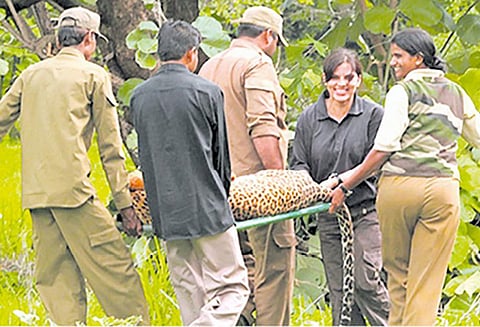 வனத்துறையில் 1178 பணியிடங்கள்