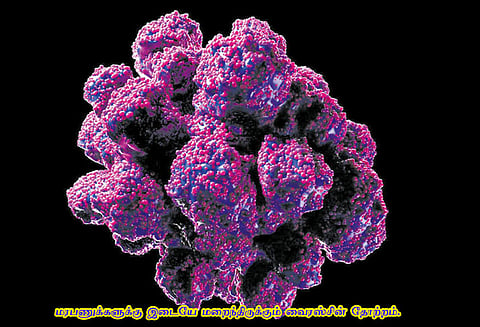 மரபணுக்களுக்கு இடையில் ஒளிந்திருக்கும் வைரசும், போதைப் பழக்கமும்
