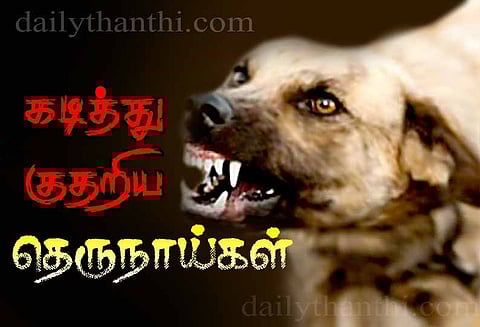 தெருநாய்கள் கடித்து குதறியதில் சிறுமி உள்பட 9 பேர் படுகாயம்