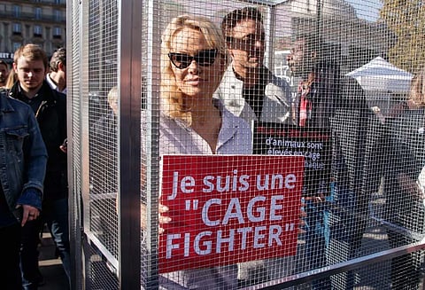 பிரபல கவர்ச்சி நடிகை தன்னையே கூண்டில் அடைத்துக் கொண்டு போராட்டம்