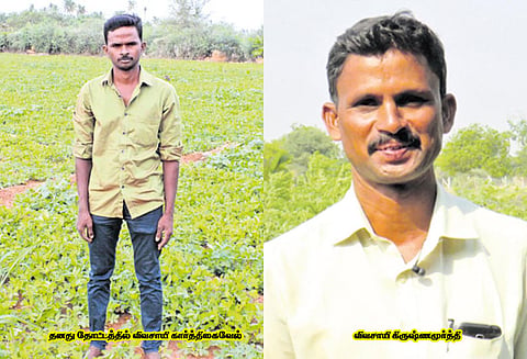 நீங்களும் ஆகலாம் இயற்கை விவசாயி : நிலக்கடலை சாகுபடி செய்யும் என்ஜினீயர்
