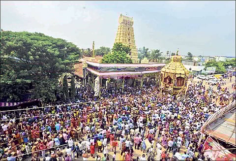 மணலி புதுநகர் அய்யா வைகுண்டசாமி கோவில் தேரோட்டம்