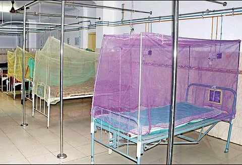 ஒரே குடும்பத்தை சேர்ந்த கர்ப்பிணி உள்பட 3 பேருக்கு பன்றிக்காய்ச்சல் - தனியார் மருத்துவமனையில் தீவிர சிகிச்சை