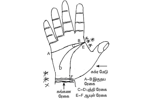 கைரேகை அற்புதங்கள் : நீண்ட ஆயுள் யாருக்கு?‘