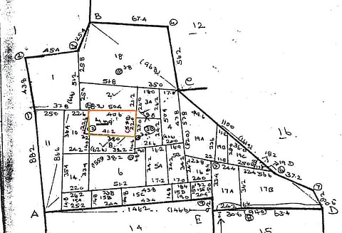வீட்டுமனை பட்டாவில் கவனிக்க வேண்டிய விவரங்கள்