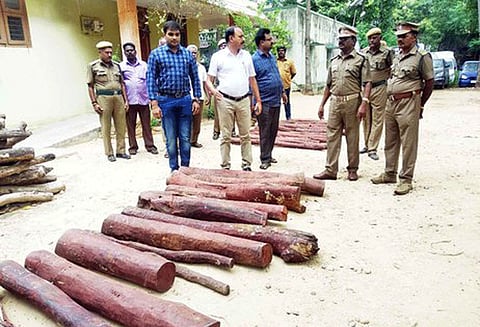 திருத்தணி அருகே ரூ.50 லட்சம் செம்மரக்கட்டைகள் பறிமுதல்