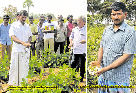 நீங்களும் ஆகலாம் இயற்கை விவசாயி : 4 ஏக்கரில் 10 வகை காய்கறிகள்