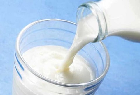 நாட்டில் விற்பனையாகும் 68.7 சதவீத பால் தரமானது அல்ல விலங்குகள் நல வாரியம் அதிர்ச்சி தகவல்