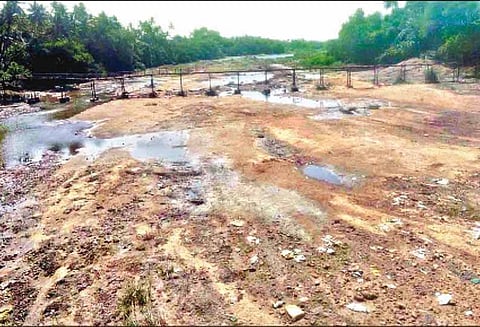 கடைமடை பகுதிக்கு தண்ணீர் சென்றடையும் முன் வெட்டாறு வறண்டது