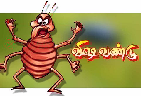 வி‌ஷவண்டுகள் கடித்து 12 பேர் காயம்