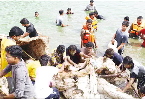 விநாயகர் சிலைகள் கரைக்கப்பட்ட தாமரை குளத்தை தூய்மை செய்யும் பணி - கலெக்டர் தலைமையில் நடந்தது
