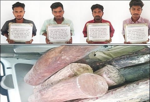 பெங்களூருவில், ரூ.10 லட்சம் செம்மரக்கட்டைகள் பறிமுதல் தமிழகத்தை சேர்ந்த 4 பேர் கைது