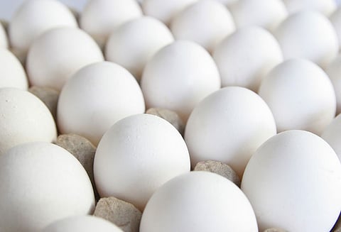 நாமக்கல் மண்டலத்தில் முட்டை விலை 10 காசுகள் சரிவு