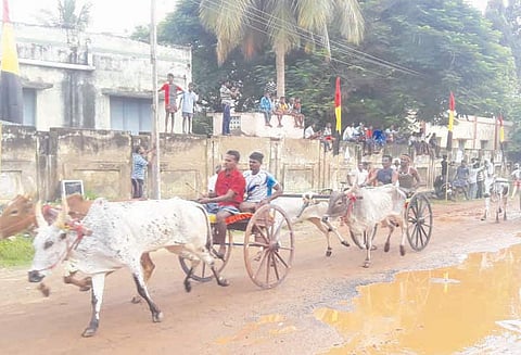 திருமயத்தில் மாட்டுவண்டி பந்தயம் வெற்றி பெற்றவர்களுக்கு ரொக்கப்பரிசு