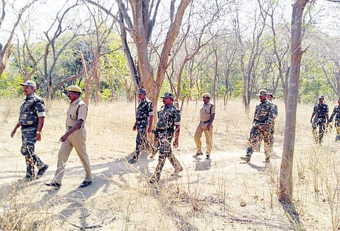 ஆந்திராவில் எம்.எல்.ஏ. சுட்டுக்கொலை: மாவட்ட வனப்பகுதியில் போலீசார் தேடுதல் வேட்டை