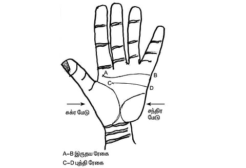 கைரேகை அற்புதங்கள் : பெண்களின் வாழ்க்கை