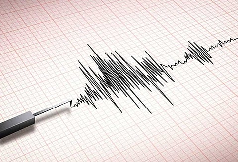 நிகோபார் தீவுகளில் லேசான நிலநடுக்கம்: ரிக்டர் அளவில் 4.8 ஆக பதிவு