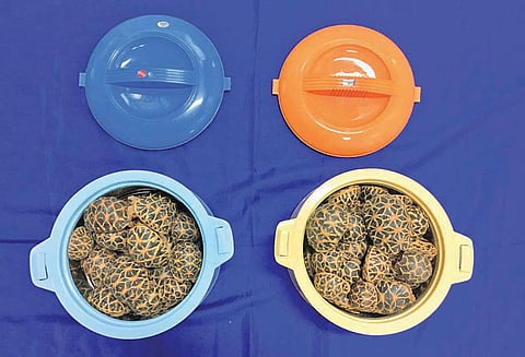 சென்னை விமான நிலையத்தில் தாய்லாந்துக்கு கடத்த முயன்ற 65 நட்சத்திர ஆமைகள் பறிமுதல்