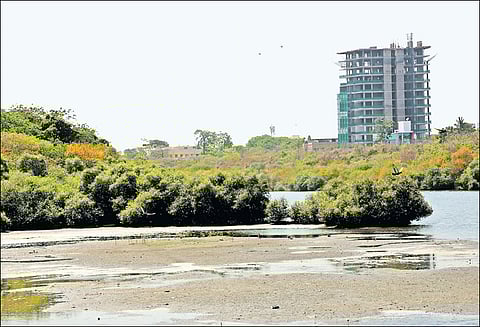 தூர்வாரும் பணி தீவிரம்: அடையாறு பூங்கா நீர்நிலை 10 ஆண்டுகளுக்கு பிறகு வறண்டது நிலத்தடி நீர் மட்டம் குறைய வாய்ப்பு