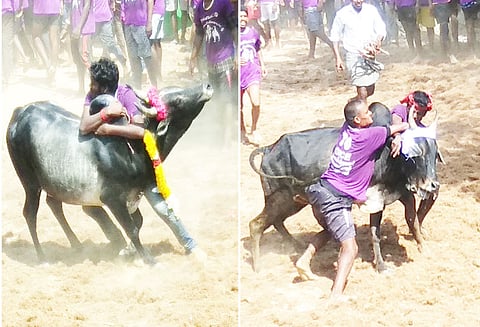 பூவாயிகுளத்தில் ஜல்லிக்கட்டு: காளைகளை அடக்க முயன்ற 14 வீரர்கள் காயம்