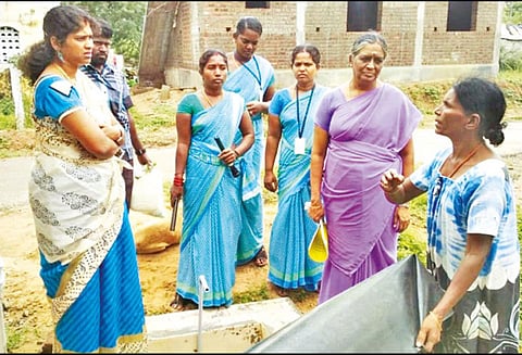 திருவாடானை யூனியனில் டெங்கு தடுப்பு நடவடிக்கை தீவிரம்