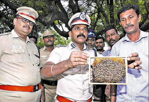 பாளையங்கோட்டை மத்திய சிறையில் கைதிகளுக்கு தேனீ, காடை வளர்ப்பு பயிற்சி - டி.ஐ.ஜி. பழனி தொடங்கி வைத்தார்