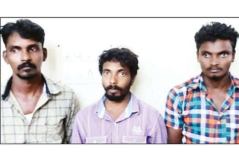 ஜெயங்கொண்டத்தில் பன்றிகளை திருட முயன்ற 3 பேர் கைது சரக்கு வேன் பறிமுதல்