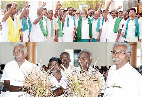 கஜா புயலால் பாதிக்கப்பட்ட விவசாயிகளுக்கு நிவாரணம் வழங்க வேண்டும் குறைதீர்க்கும் நாள் கூட்டத்தில் வலியுறுத்தல்