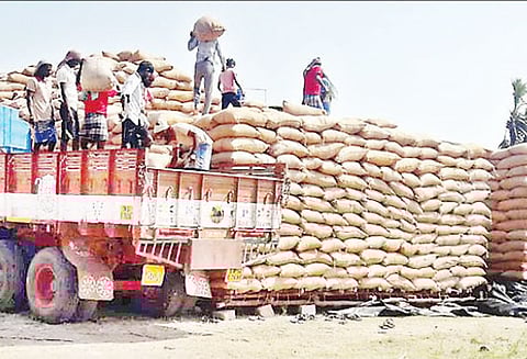 வேளாங்கண்ணி அருகே திறந்தவெளி சேமிப்பு கிடங்கில் நெல் மூட்டைகள் சேமிக்கும் பணி மும்முரம்