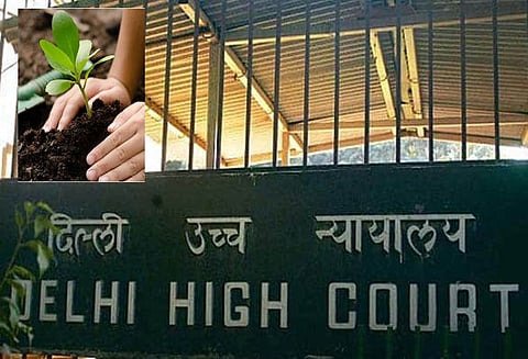 2 ‘ஜி’ மேல்முறையீட்டு வழக்கு: ‘அவகாசம் கேட்ட மனுதாரர்கள் தலா 3 ஆயிரம் மரம் நட வேண்டும்’ - டெல்லி ஐகோர்ட்டு அதிரடி